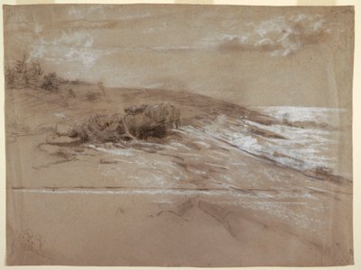 رسم، ساحل البحر مع أشجار الصنوبر، رقبة بروت، النقطة الشرقية، 1884-90 بواسطة وينسلو هومر