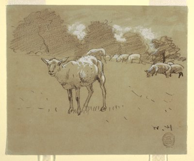 رسم، أغنام ترعى في حقل، حوالي 1875-1878 بواسطة وينسلو هومر