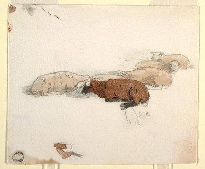 رسم، أغنام تستريح، 1878 بواسطة وينسلو هومر