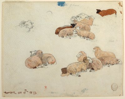 رسم، خروف يستريح، 15 أكتوبر، 1878 بواسطة وينسلو هومر