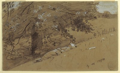 رسم، راعية تستريح تحت شجرة، 1878 بواسطة وينسلو هومر
