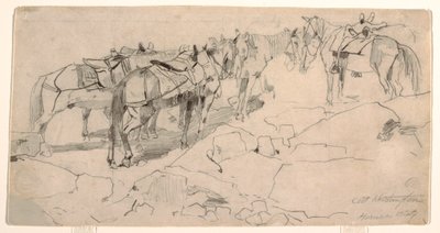 رسم، دراسة عن "جبل واشنطن" و"قمة جبل واشنطن"، 1869 بواسطة وينسلو هومر