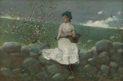 أزهار الخوخ ، 1878. بواسطة وينسلو هومر