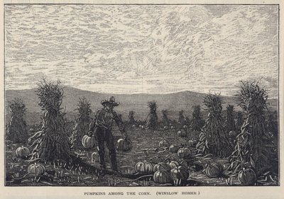 اليقطين بين الذرة، من مجلة سكريبنر الشهرية، مجلة مصورة للناس، أغسطس 1878 بواسطة وينسلو هومر