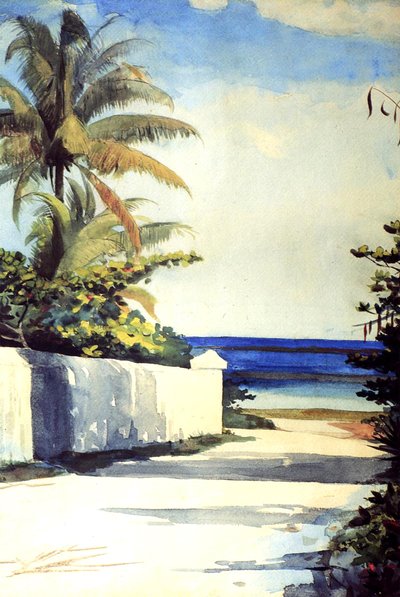 الطريق في ناسو ، 1898-99 بواسطة وينسلو هومر