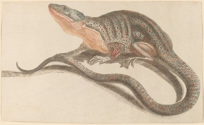 سحلية بواسطة Workshop of Johann Teyler