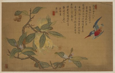 الطيور والفواكه والزهور بواسطة Wu Zhang