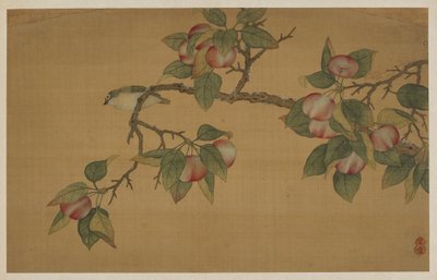 الطيور والفاكهة بواسطة Wu Zhang