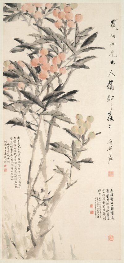 Pipa Loquats ، ج. 1888-1889. بواسطة Xugu