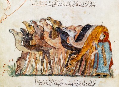 السيدة عر 5847 و 101 ، قطيع الإبل ، من المقامات ، الحريري ، ج. 1240 (انظر أيضًا 1689970) بواسطة Yahya ibn Mahmud Al Wasiti