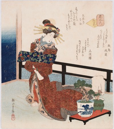 Miyako no hana "زهرة العاصمة" ، وهو مصطلح يستخدم للإشارة إلى الممثلين المشهورين أو المحظيات أو المشاهير ، مما يوضح المحظية التي تقف بجانب الصنوبر المحفوظ بقصائد كتبها شيكيشيما إيداميتشي وكاجينرو وشوكينتي سيكي بواسطة ياناغاوا الثاني شيجينوبو