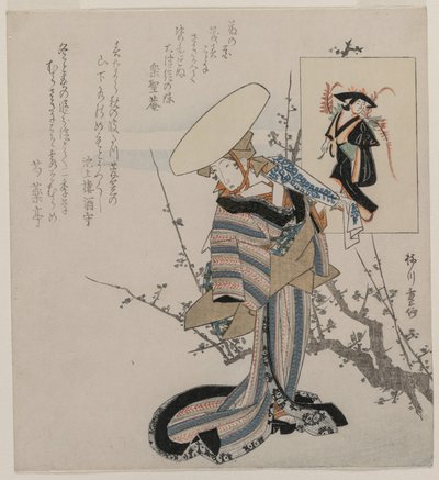 امرأة على شجرة بلوم متطابقة مع Wisteria Maiden (من سلسلة من النساء مقارنة بأشكال من لوحات Otsu) بواسطة ياناغاوا شيجينوبو