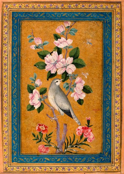 طائر يجلس على فرع مزدهر ، 1696. بواسطة يوسف زمان