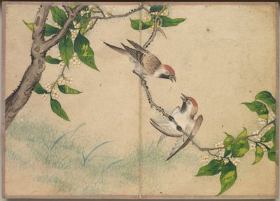 ألبوم المكتب: لوحات الزهور والطيور (العصافير القيل والقال) بواسطة Zhang Ruoai