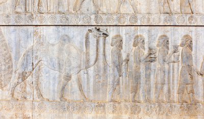 Ancient relief of the Achaemenids; delegation of the Parthians with camel; Apadana Palace; archaeological site; ancient Persian city Persepolis; UNESCO World Heritage Site; Fars Province; Iran; Asia بواسطة فريدريك (المرتبط ب) بارنارد