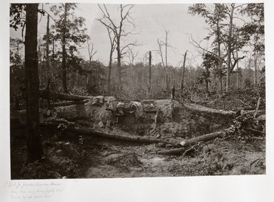 Battlefield of New Hope Church, Georgia, USA بواسطة فرديناند جورج والدمولر
