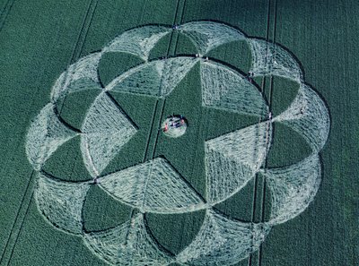 Crop circle in barley field, Avebury Trusloe, Wiltshire, 20th June 1998 (aerial photograph) بواسطة فرديناند جورج والدمولر