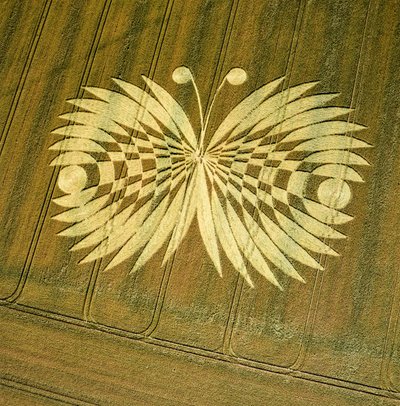 Crop circle in wheat field, Hailey Wood, Ashbury, Oxfordshire بواسطة فرديناند جورج والدمولر