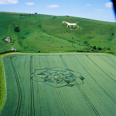 Crop circle in wheat field, Milk Hill, Alton Priors, Vale of Pewsey, Wiltshire بواسطة فرديناند جورج والدمولر