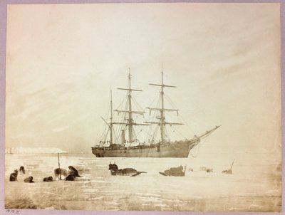 Expedition en Arctique (1875-1876) du capitaine George Nares (1831-1915) : H بواسطة فريدريك (المرتبط ب) بارنارد