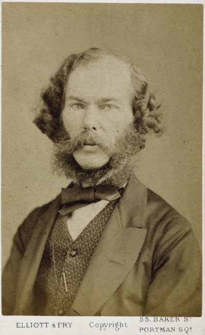 George Henry Lewes, English writer and philosopher, c 1865-1878 بواسطة فرديناند جورج والدمولر