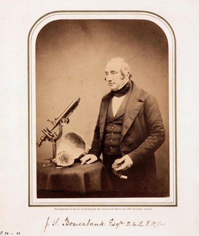 James Scott Bowerbank, British geologist بواسطة فرديناند جورج والدمولر