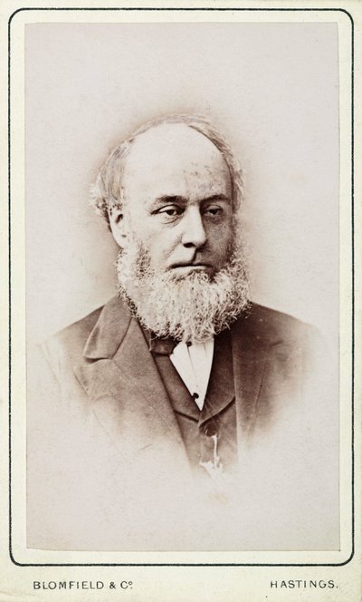 Mr Hackett, secretary of the General Steam Navigation Company بواسطة فريدريك (المرتبط ب) بارنارد
