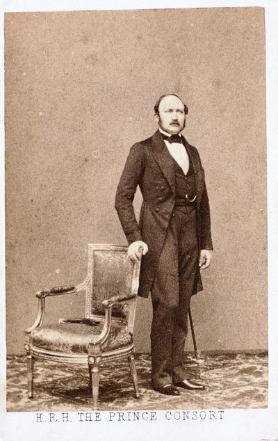 Prince Albert, Consort of Queen Victoria, c 1860 بواسطة فريدريك (المرتبط ب) بارنارد