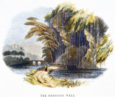 The Dropping Well