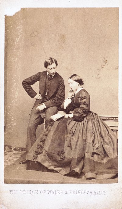 The Prince of Wales and Princess Alice بواسطة فرديناند جورج والدمولر