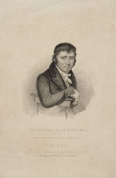 William Baxter, ALS FHS, British botanist, c 1820s بواسطة فريدريك (المرتبط ب) بارنارد
