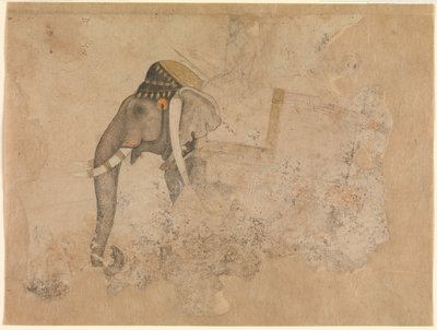 هاشم. الفيل والفارس. كاليفورنيا. 1640 متحف متروبوليتان للفنون ، نيويورك بواسطة هاشم