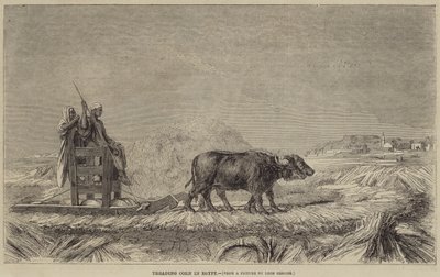 فقي الذرة في مصر بواسطة after Jean Leon Gerome
