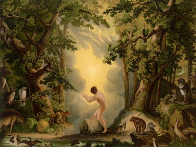 خلق آدم بواسطة يوهان إلياس ريسينجر أو ريدينغر