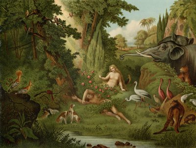 خلق حواء بواسطة يوهان إلياس ريسينجر أو ريدينغر