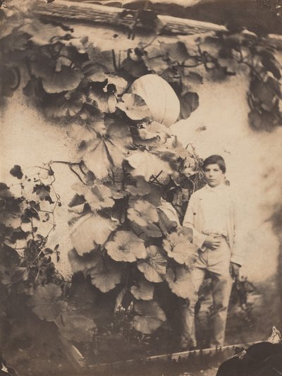 صبي مع كرمة اليقطين، 1854 (صورة) بواسطة الاخوة فارين