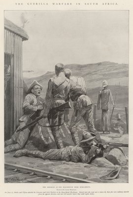 حرب العصابات في جنوب أفريقي