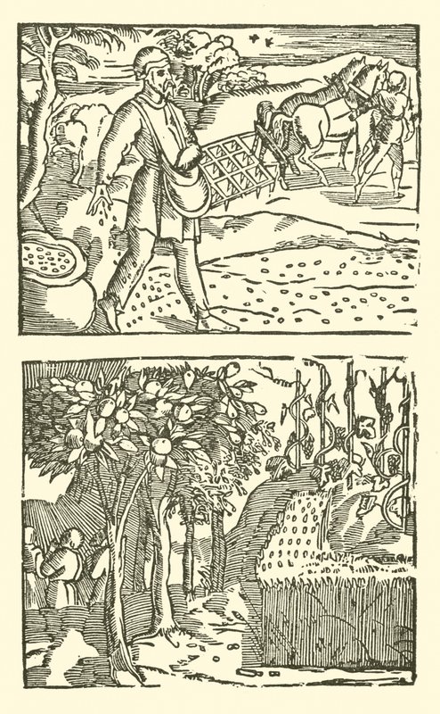 رسم توضيحي لـ Roxburghe Ballads (نقش خشبي) بواسطة (بعد) المدرسة الإنجليزية