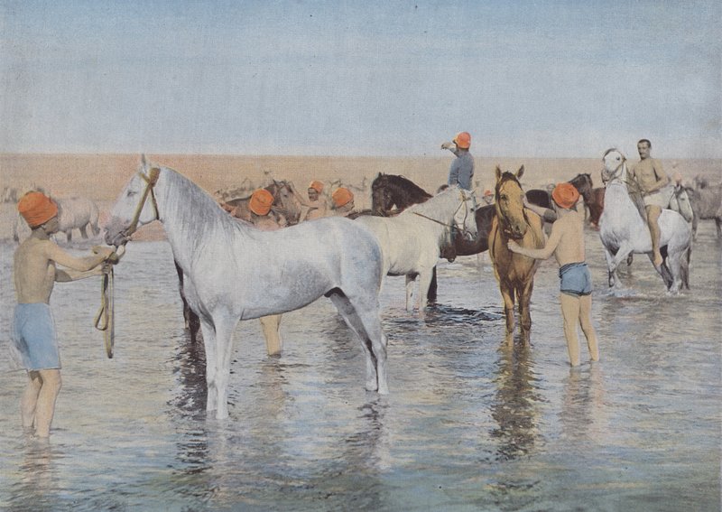 حمام البحر (صورة ملونة) بواسطة (بعد) مصور فرنسي