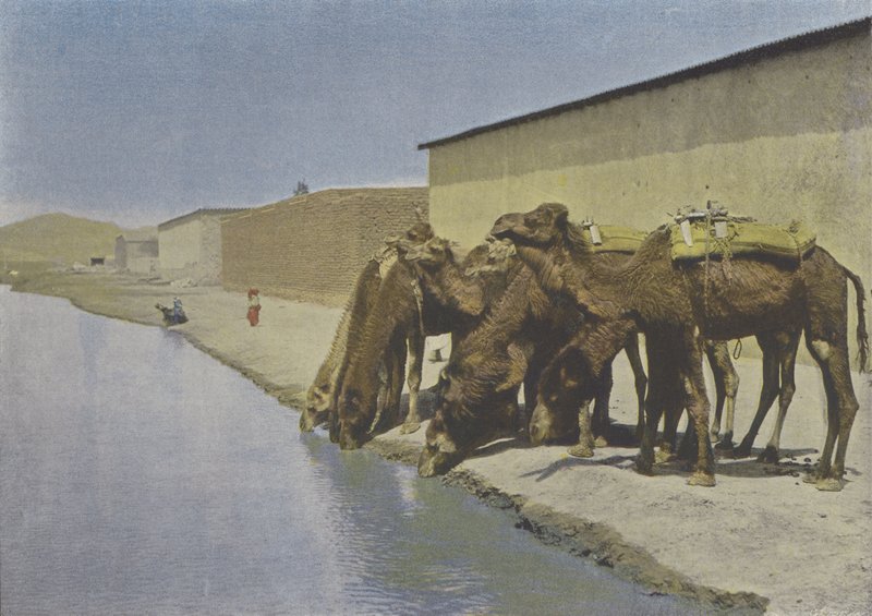الجمال على ضفاف النهر (صورة ملونة) بواسطة (بعد) مصور فرنسي