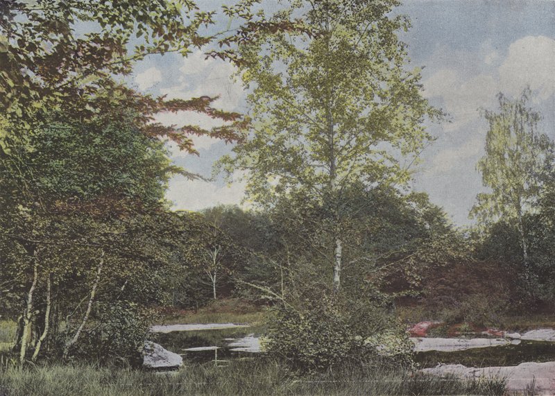 رسوم La mare aux (صورة ملونة) بواسطة (بعد) مصور فرنسي