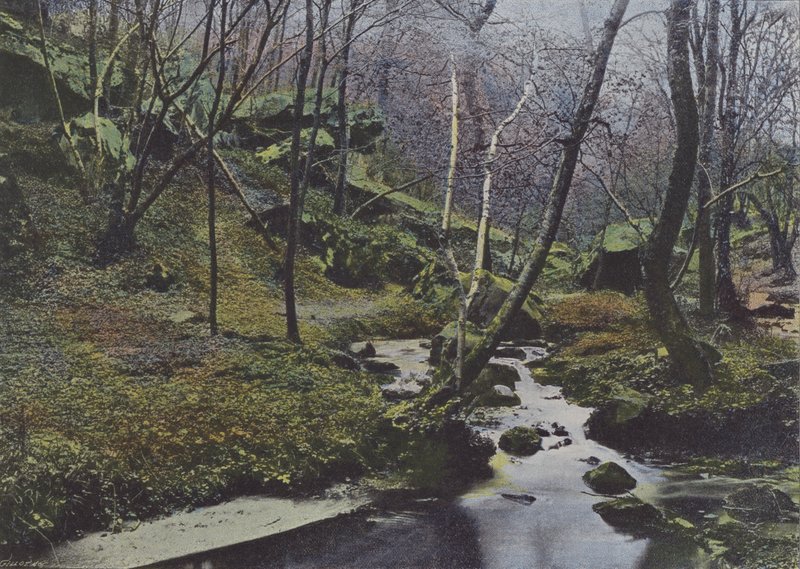 Vaux de Cernay ، Les Cascades (صورة ملونة) بواسطة (بعد) مصور فرنسي