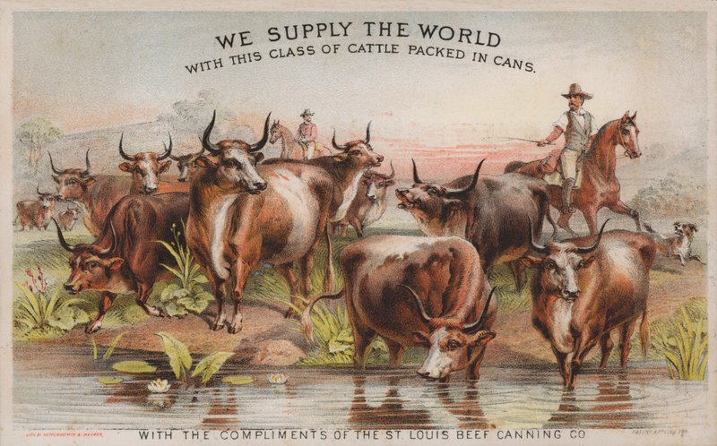 رعاة البقر في حملة ماشية ، إعلان لشركة St Louis Beef Canning Company بواسطة المدرسة الأمريكية