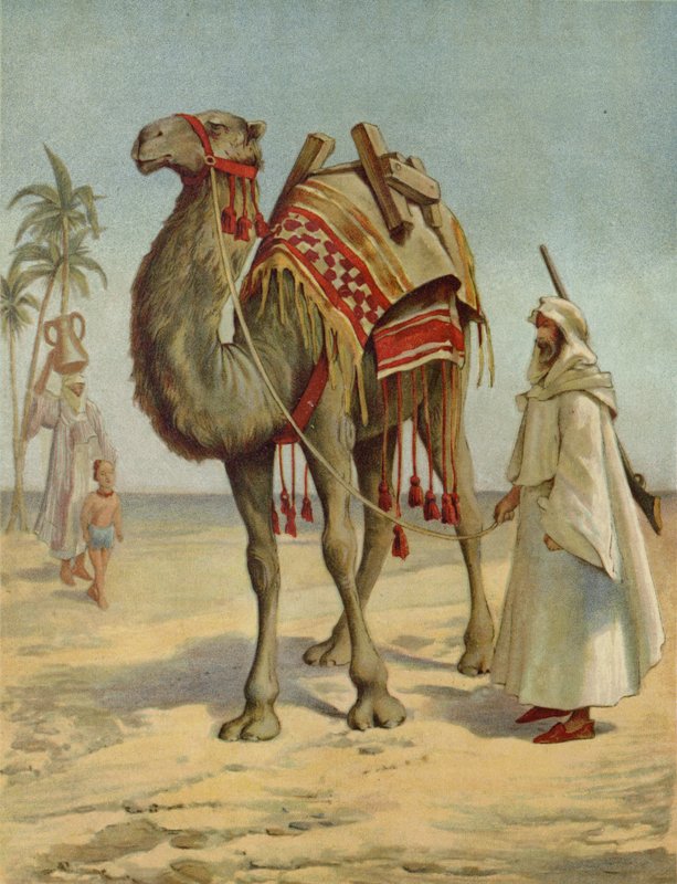 تاجر عربي بواسطة مدرسة اللغة الإنجليزية