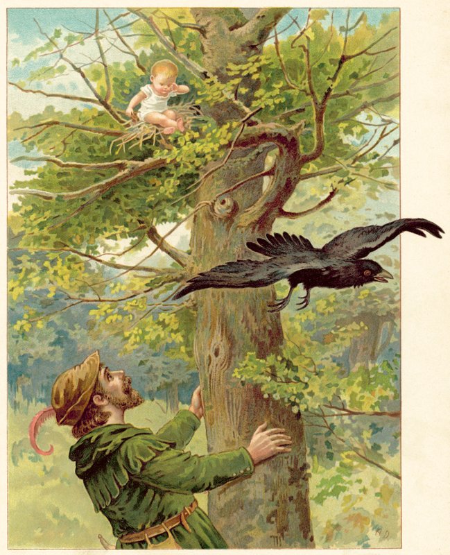 Find-Birdie in the Tree (chromolitho) بواسطة Ada Dennis