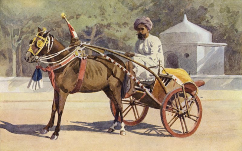 A Benares Ekka بواسطة الكسندر هنري هالام موراي