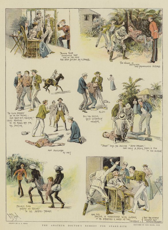 علاج طبيب الهواة لدغة الأفعى (chromolitho) بواسطة الكسندر ستيوارت بويد