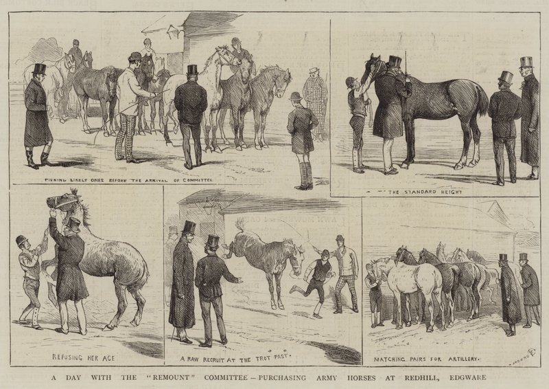 يوم مع لجنة Remount ، شراء خيول الجيش في Redhill ، Edgware بواسطة ألفريد تشانتري كوربولد
