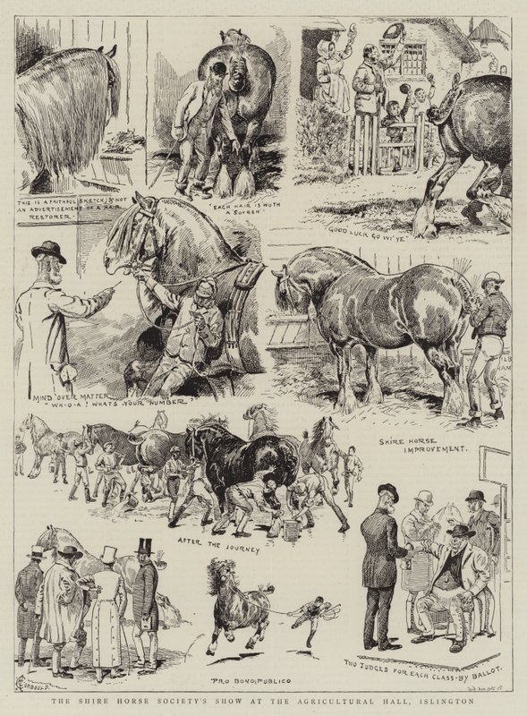 عرض جمعية Shire Horse في القاعة الزراعية ، Islington بواسطة ألفريد تشانتري كوربولد