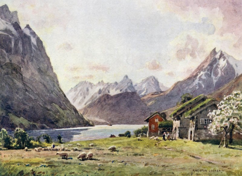 Hjorund Fjord ، Goose بواسطة ألفريد هيتون كوبر